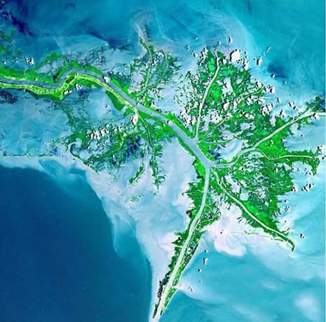 Nehirlerin uzaydan çekilmiş fotoğrafları galerisi resim 1