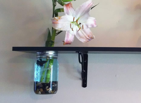 Enteresan tasarlanmış akvaryumlar galerisi resim 2