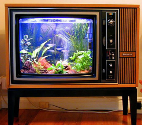 Enteresan tasarlanmış akvaryumlar galerisi resim 7