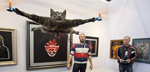 Ölen kedisinden helikopter yaptı