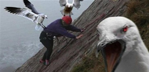 Doğa insandan intikamını böyle aldı