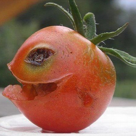 Mutfakta olay var galerisi resim 8