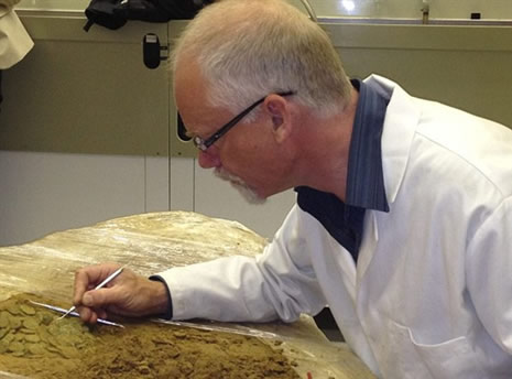 Büyük Kelt hazinesi bulundu galerisi resim 5