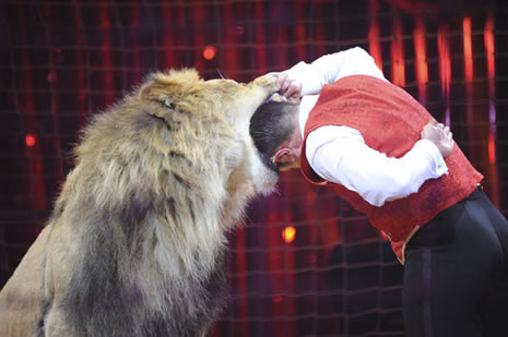 Kral kediye döndü! galerisi resim 1