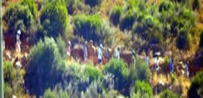 Suudi Prens Kara Ada'nın karşısındaki araziye talip