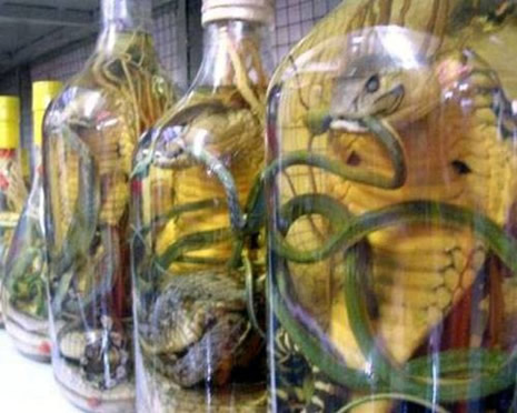 İnternetteki ilginç fotoğraflar galerisi resim 21