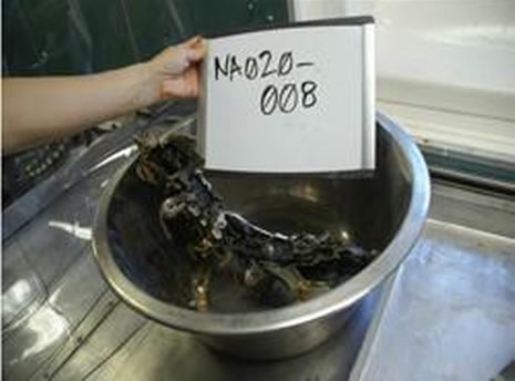 İki Pilotumuzdan Geriye Kalanlar galerisi resim 6