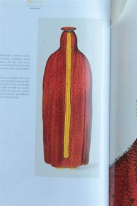 Harem'in 300 Sırrı galerisi resim 17