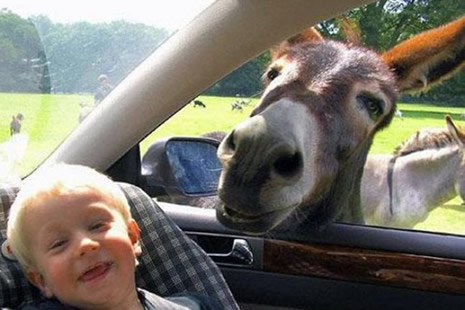 Bu çocuklar bir alem galerisi resim 13