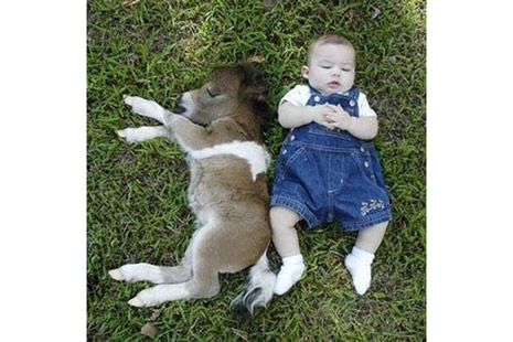 Bu çocuklar bir alem galerisi resim 21