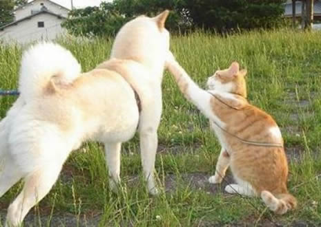 Bu fotoğraflar ilginizi çekecek galerisi resim 15