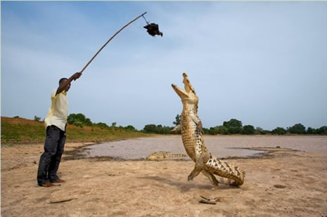 Bu fotoğraflar ilginizi çekecek galerisi resim 36