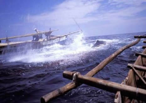 Mızrakla balina avı  galerisi resim 10