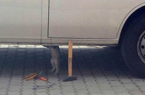 Bu kadar da olmaz! galerisi resim 13