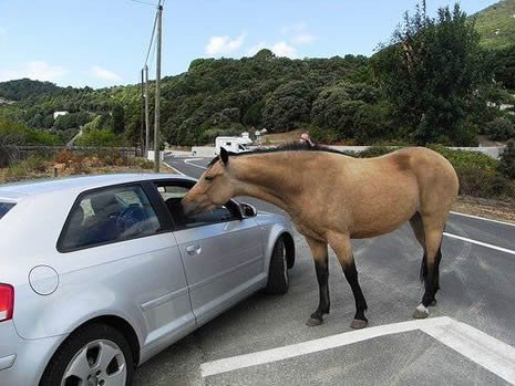 Bu kadar da olmaz! galerisi resim 15
