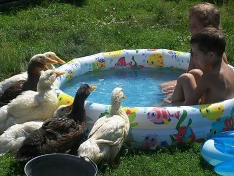 Bu kadar da olmaz! galerisi resim 16