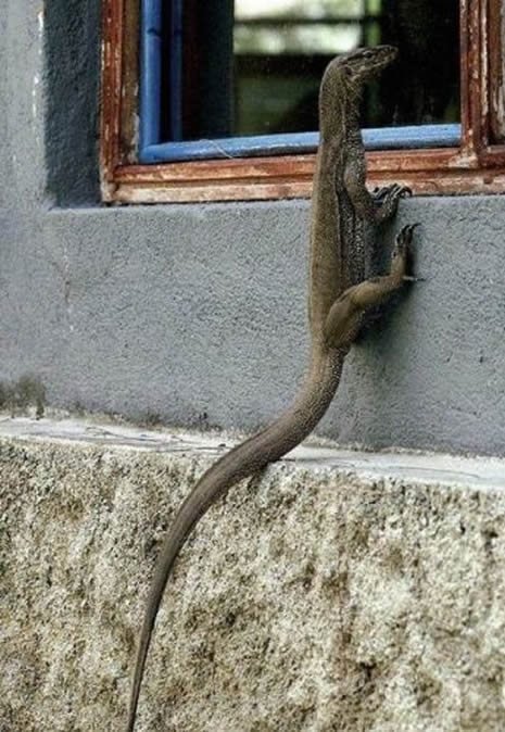 Bu kadar da olmaz! galerisi resim 17