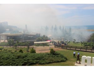 Samsun’da Amisos Tepesi alev alev yandı