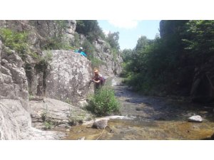 Avlakkaya görenleri kendisine hayran bırakıyor