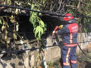 ’Pire için yorgan yakmak’ atasözü Sakarya’da gerçek oldu