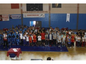 Çankırı’da Wushu Sanda/Taolu Şampiyonası yapıldı
