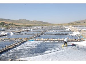 Aktuzla’da günde 120 ton tuz üretiliyor