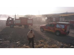 Felahiye’de 500 dekar alan yanarak kül oldu