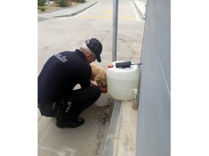 Polis memuru, sokak köpeğine eliyle su içirdi
