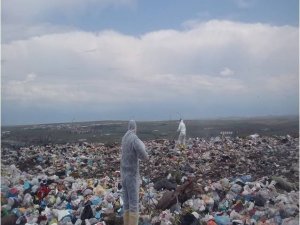 Kırşehir’de uçucu vektörlerle mücadele aralıksız sürüyor