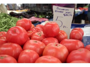 Yerli domates satışa sunuldu