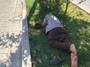 Diyarbakır’da sıcaklardan bunalan yaşlı adam refüje yattı