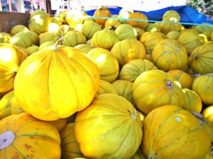 Çorum’un Meşhur 10 Dilim Kavunu tezgahta yerini aldı