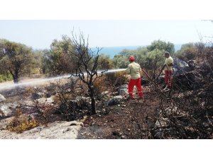 Antalya’da antik kent yakınında çıkan yangın korkuttu