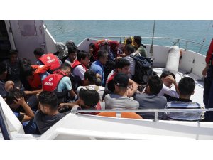 42 kaçak göçmen yakalandı