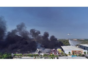 Antalya Valisi Karaloğlu: "Yangın kontrol altına alındı"