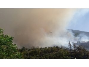 Hatay’daki orman yangını kontrol altına alınmaya çalışılıyor