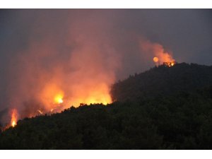 Hatay’da orman yangınında yoğun mücadele