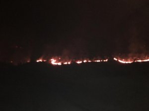 Çukurca’daki orman yangını kontrol altına alındı