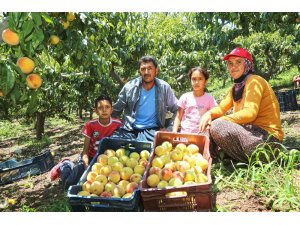 Başkan Tarhan’dan Mezitli’deki şeftali üreticilerine destek