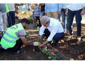 Halilye’de parklar çiçeklerle donatılıyor