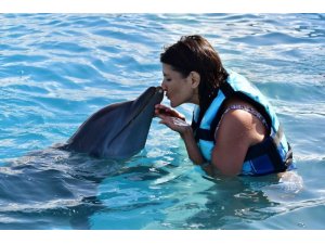 Nikki Haley: “Her gün köpekbalıklarıyla uğraşıyorum”