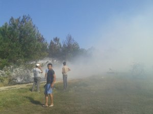 Atatürk Hatıra Ormanı’nda yangın: 400 çam kül oldu