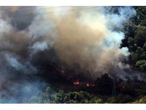 Kdz. Ereğli’de orman yangını 3 saatte söndürüldü