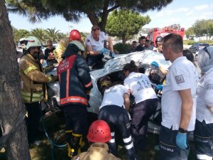 Kartal’da otomobil ağaca çarptı: 1’i ağır 2 yaralı