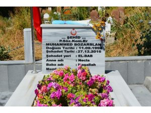 Adilcevaz Belediyesi, El Bab şehidi Bozarslan’ın mezarını yaptırdı