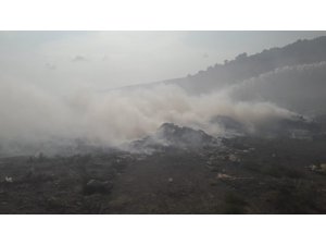 Erdek Çöplüğü’ndeki yangın ormana sıçradı
