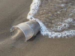 Atık plastikler denizdeki yaşamı tehdit ediyor