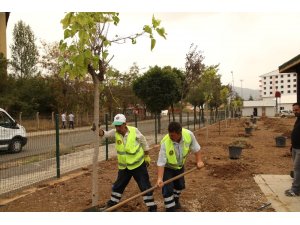Millet Bahçesi’ne 2 bin ağaç dikilecek