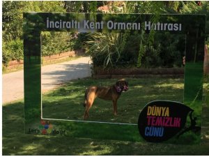 İzmir’i temizleyen ekibe sevimli köpekten yardım