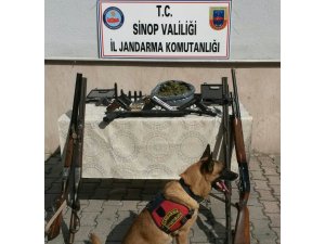 Sinop’ta uyuşturucu ve silah kaçakçılığı operasyonu